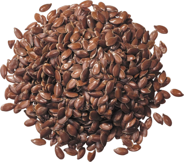 Flax Seeds